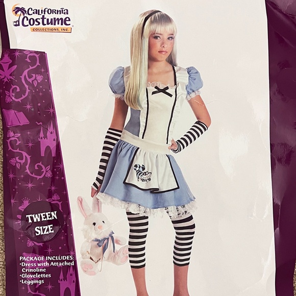Alice in Wonderland Edgy Goth Tween Halloween Costume WITH WIG Kids 12/14 - Picture 2 of 4